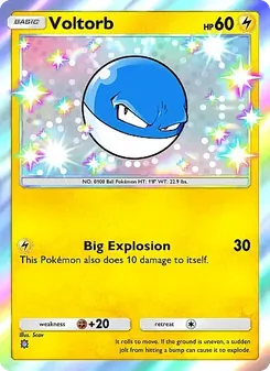 Voltorb (Eevee Grove #095)