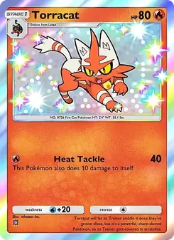 Torracat (Mega Rising #294)