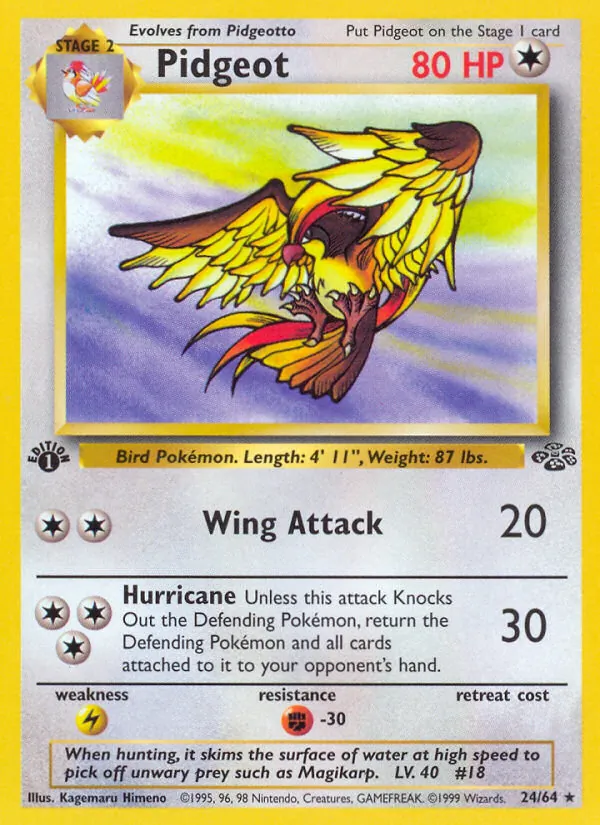 Pidgeot — Jungle #24 (Pokémon TCG card)