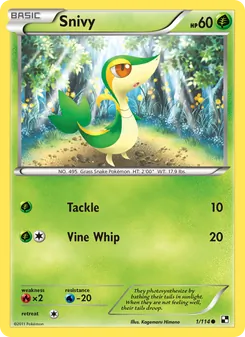 Snivy (Black & White #1)