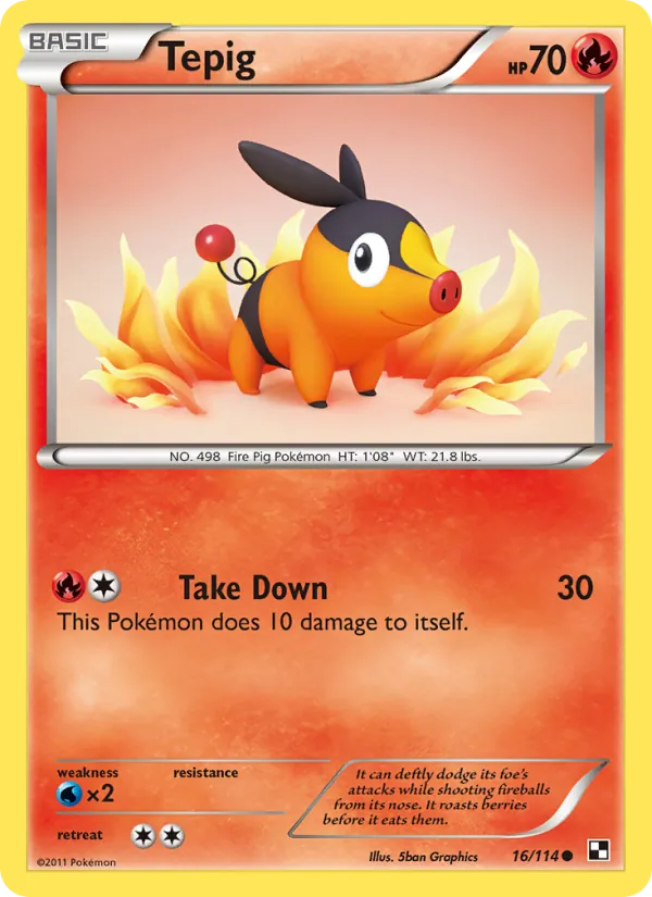 Tepig — Black & White #16 (Pokémon TCG card)
