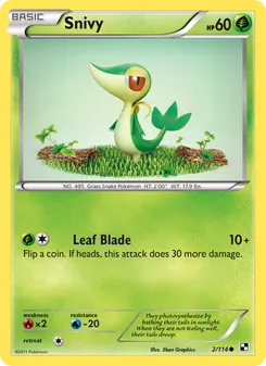 Snivy (Black & White #2)