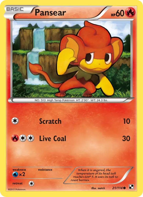 Pansear — Black & White #21 (Pokémon TCG card)