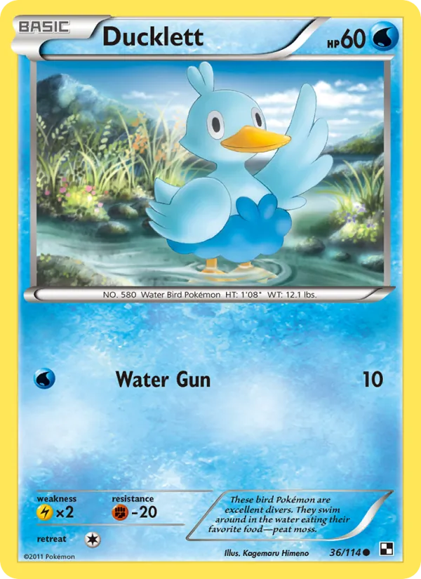Ducklett — Black & White #36 (Pokémon TCG card)