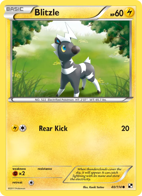 Blitzle — Black & White #40 (Pokémon TCG card)
