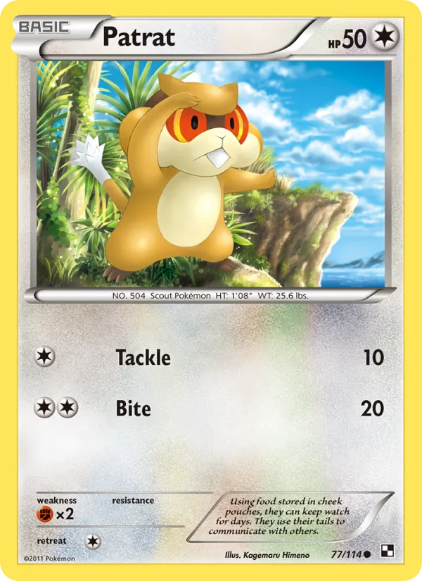Patrat — Black & White #77 (Pokémon TCG card)