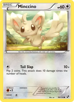 Minccino (Black & White #88)