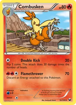 Combusken (Dark Explorers #16)