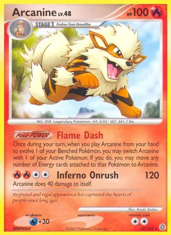 Arcanine (Secret Wonders #22)