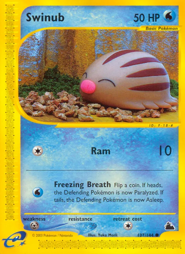 Swinub — Skyridge #107 (Pokémon TCG card)