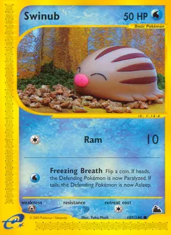 Swinub (Skyridge #107)