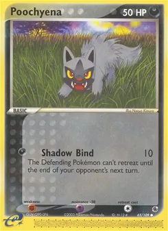 Poochyena (Ruby & Sapphire #65)