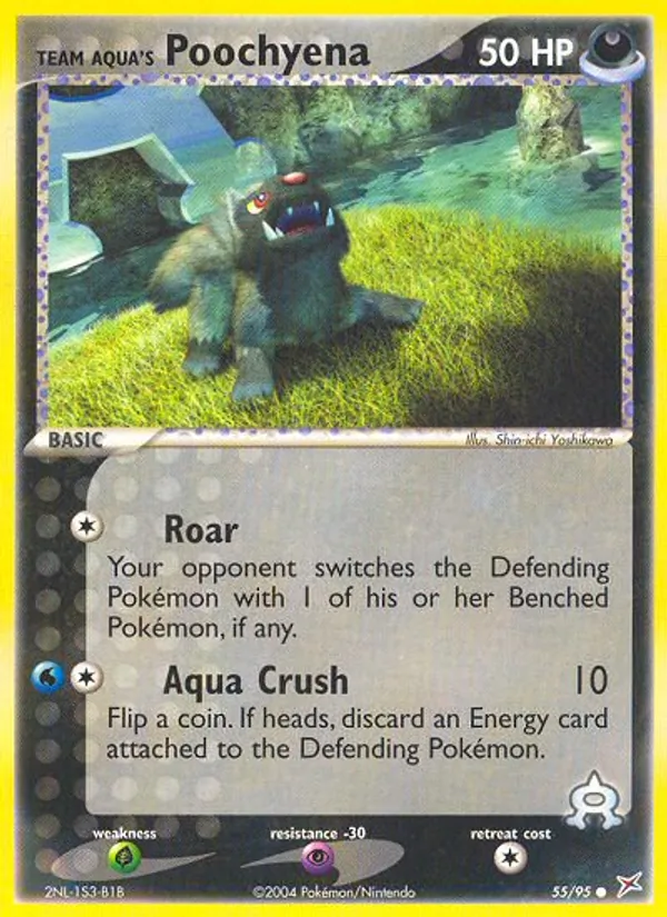 Team Aqua's Poochyena — Team Magma vs Team Aqua #55 (Pokémon TCG card)