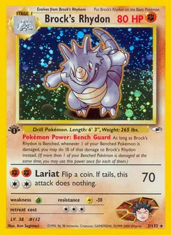 Brock's Rhydon (Gym Heroes #2)