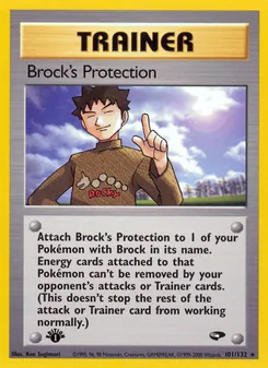 Brock's Protection (Gym Challenge #101)