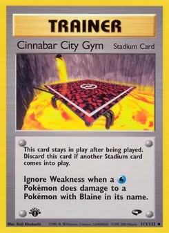 Cinnabar City Gym (Gym Challenge #113)