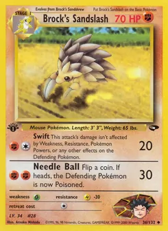 Brock's Sandslash (Gym Challenge #36)