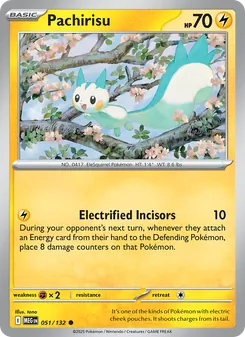 Pachirisu (Mega Evolution #051)