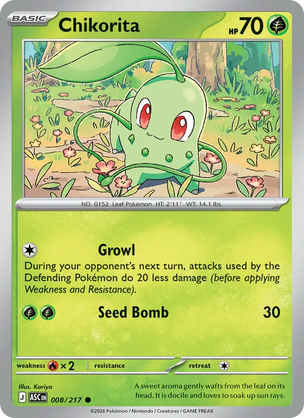 Chikorita — Ascended Heroes #008 (Pokémon TCG card)