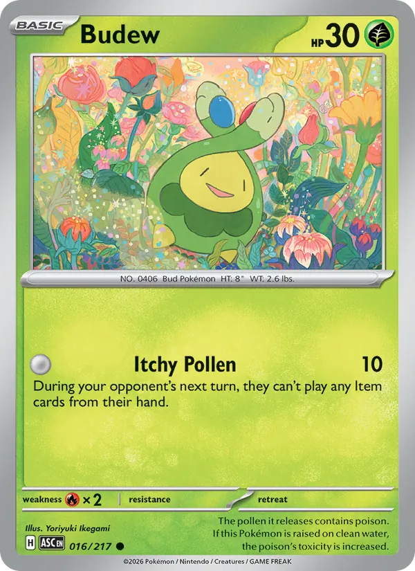 Budew — Ascended Heroes #016 (Pokémon TCG card)