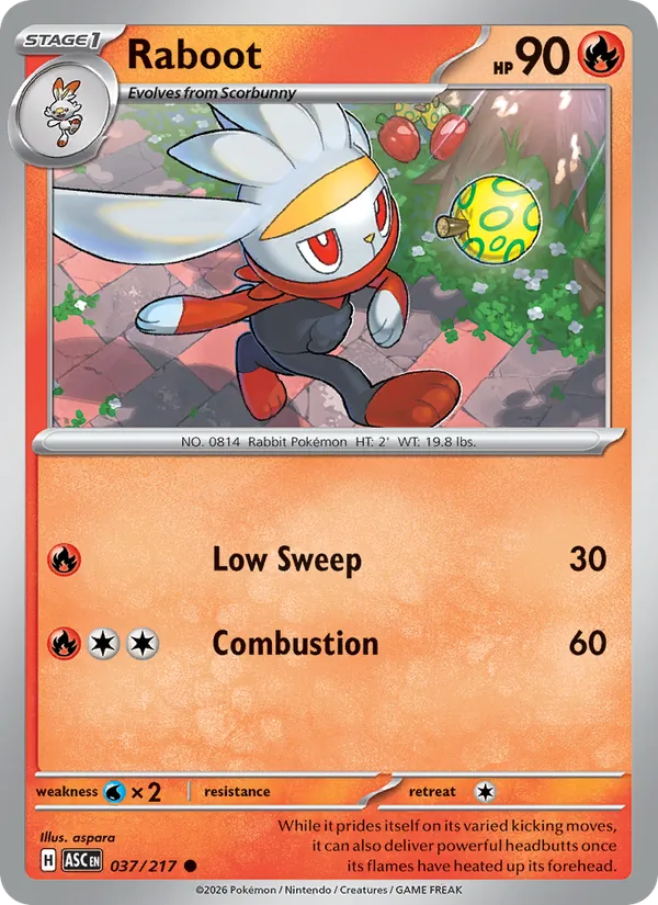 Raboot — Ascended Heroes #037 (Pokémon TCG card)