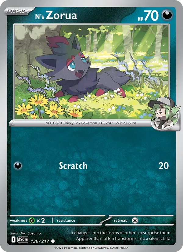 N's Zorua — Ascended Heroes #136 (Pokémon TCG card)