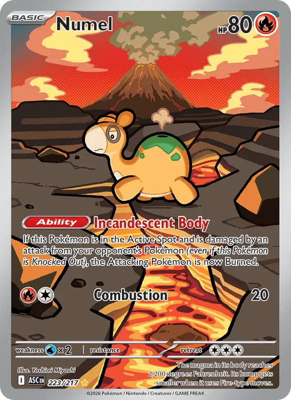 Numel — Ascended Heroes #223 (Pokémon TCG card)