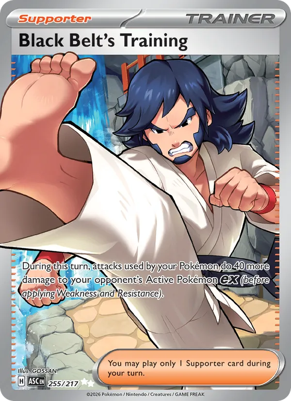 Black Belt's Training — Ascended Heroes #255 (Pokémon TCG card)