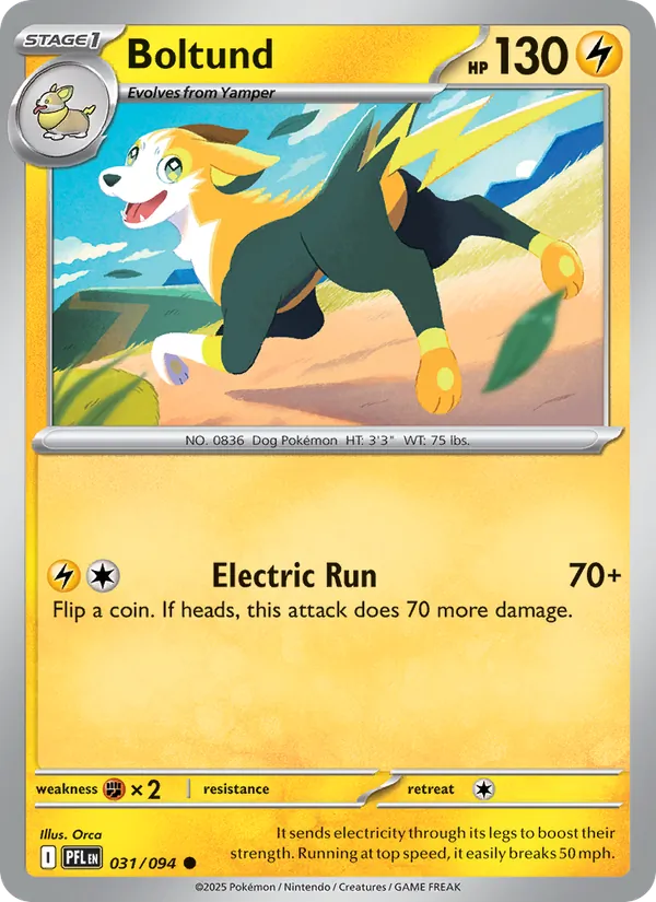 Boltund — Phantasmal Flames #031 (Pokémon TCG card)