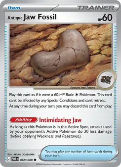 Antique Jaw Fossil (Perfect Order #068)
