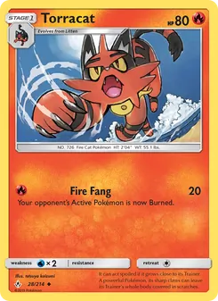 Torracat (Unbroken Bonds #28)