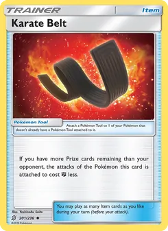 Karate Belt (Unified Minds #201)
