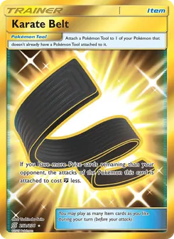 Karate Belt (Unified Minds #252)