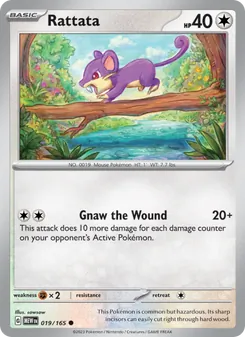 Rattata (151 #019)