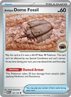 Antique Dome Fossil (151 #152)