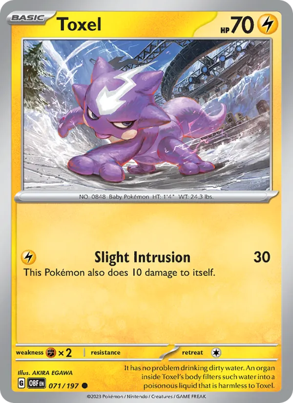 Toxel — Obsidian Flames #071 (Pokémon TCG card)
