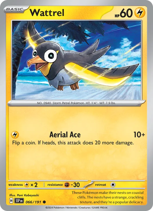 Wattrel — Surging Sparks #066 (Pokémon TCG card)