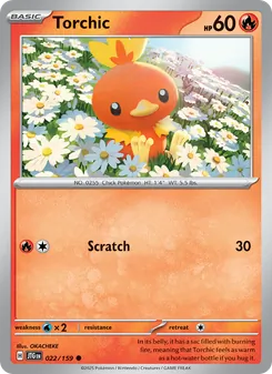 Torchic (Journey Together #022)