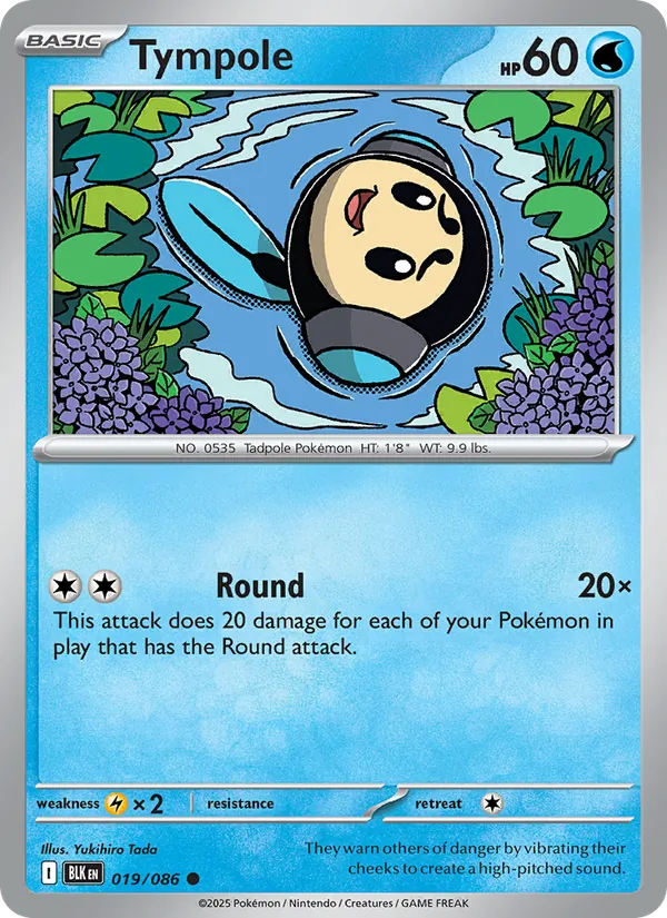 Tympole — Black Bolt #019 (Pokémon TCG card)