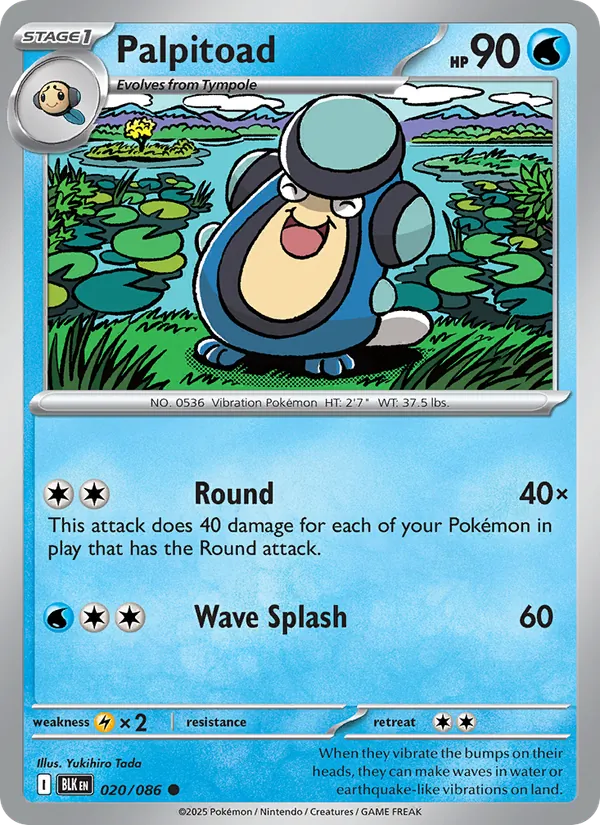 Palpitoad — Black Bolt #020 (Pokémon TCG card)
