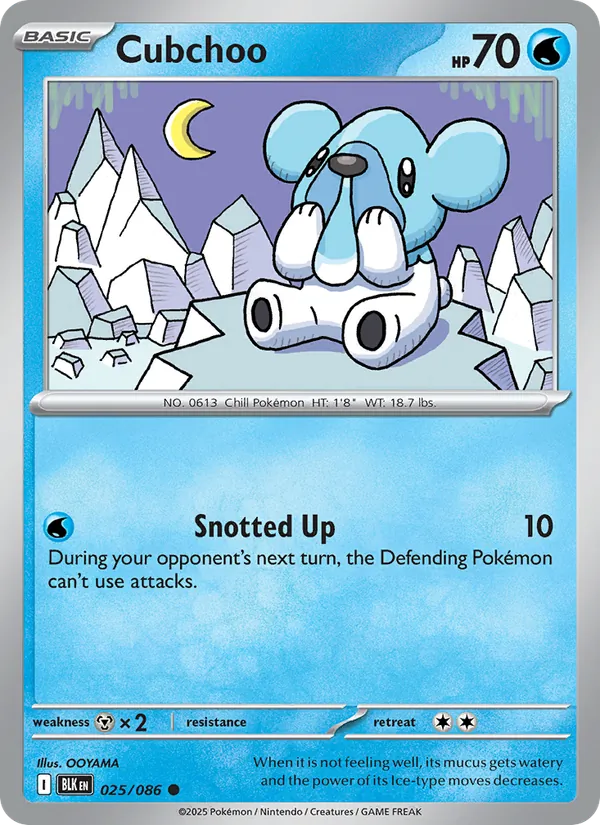 Cubchoo — Black Bolt #025 (Pokémon TCG card)