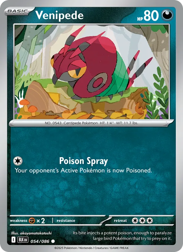 Venipede — Black Bolt #054 (Pokémon TCG card)