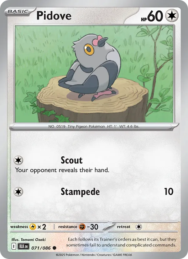 Pidove — Black Bolt #071 (Pokémon TCG card)