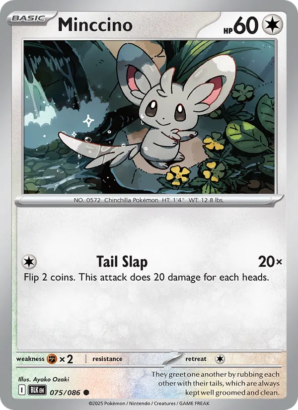 Minccino — Black Bolt #075 (Pokémon TCG card)