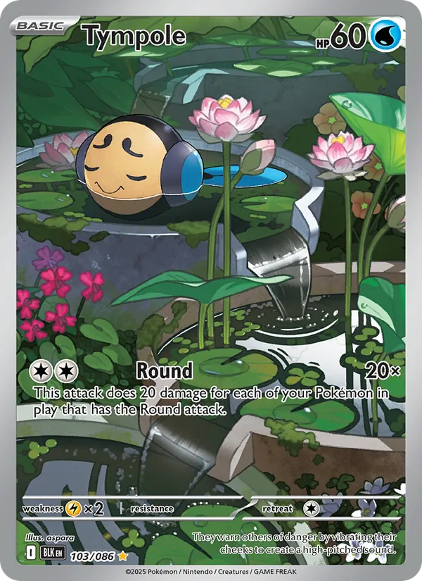 Tympole — Black Bolt #103 (Pokémon TCG card)