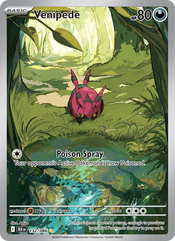 Venipede — Black Bolt #132 (Pokémon TCG card)