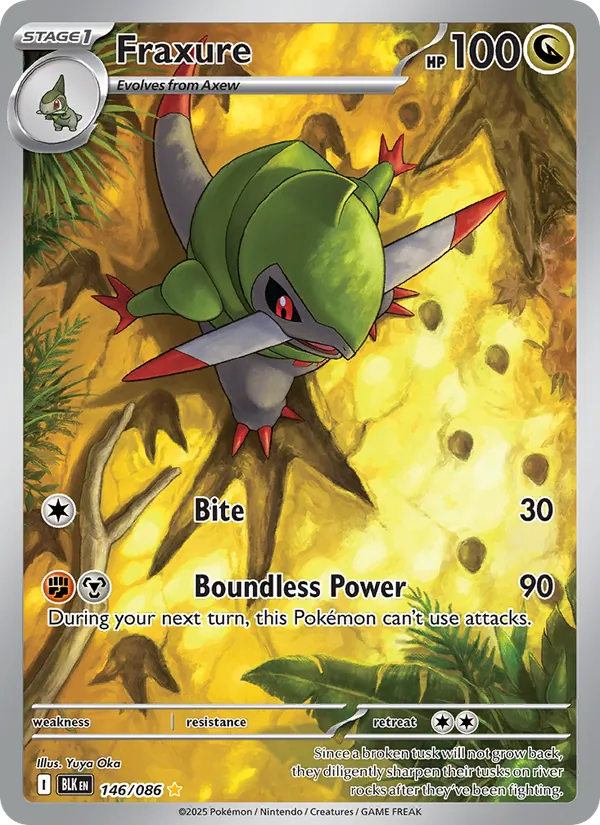 Fraxure — Black Bolt #146 (Pokémon TCG card)
