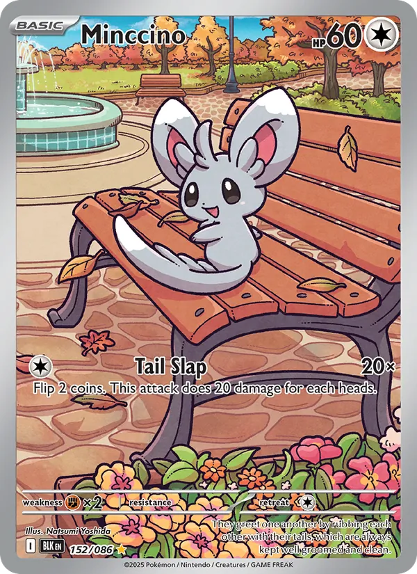 Minccino — Black Bolt #152 (Pokémon TCG card)