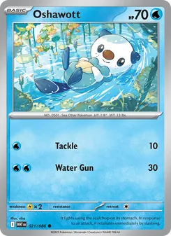 Oshawott (White Flare #021)