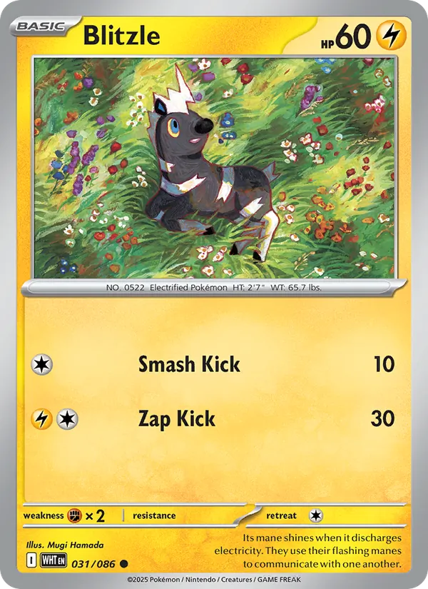 Blitzle — White Flare #031 (Pokémon TCG card)